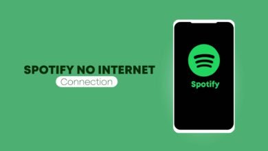 Spotify no Internet Connection